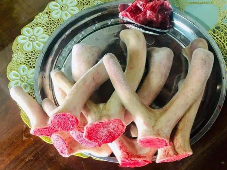 Nhung hươu là gì? Nhung hươu có tác dụng gì và cách dùng?