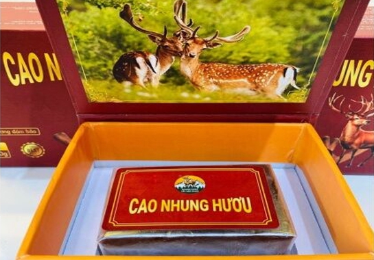 Cao nhung hươu